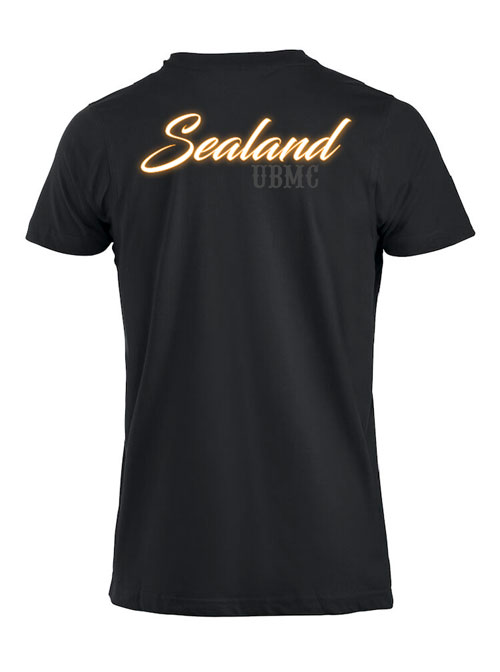 Alternative view of UBMC Member American Tee (D5)